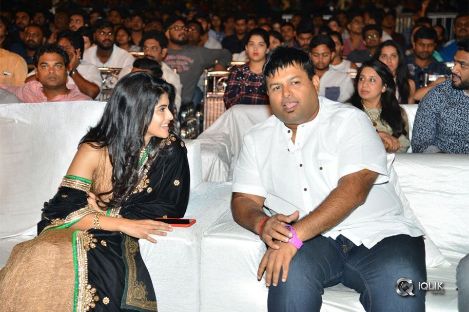 Chal-Mohan-Ranga-Pre-Release-Function-Photos